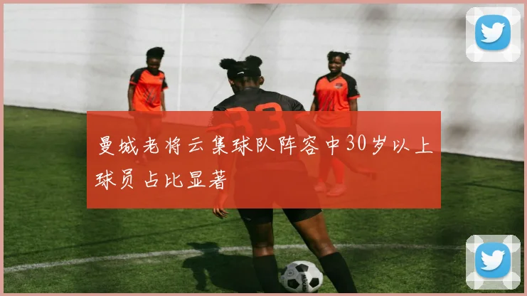 曼城老将云集球队阵容中30岁以上球员占比显著