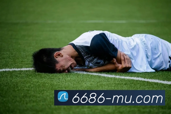 6686体育平台生态图